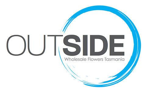 Outside Wholesale Flowers