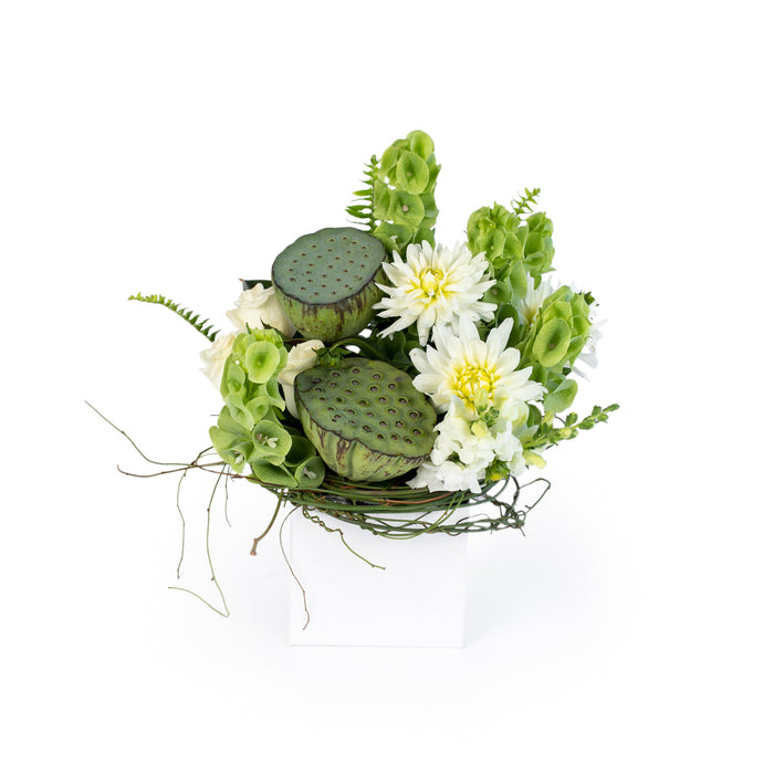 Neutral White & Green Boxed